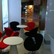 SWAN BLACK