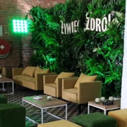 VIVA LEMO CHAIR