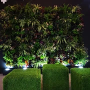 SPRING P