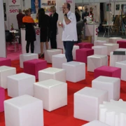 CASA PINK