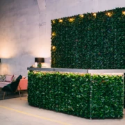FLORA BAR A
