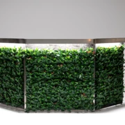 FLORA BAR A