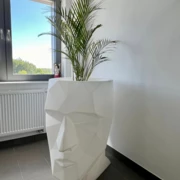 CEO